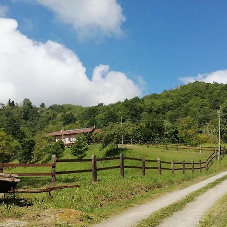La Casa In Collina Bed & Breakfast Cinzano Bagian luar foto